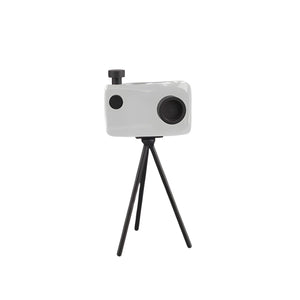 Camera Ornament - Crystal Clear, 30 cm