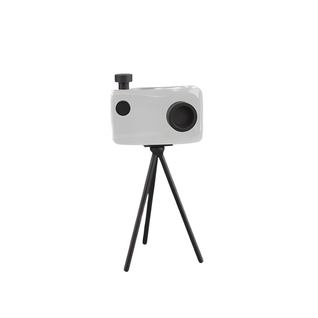 Camera Ornament - Crystal Clear, 30 cm