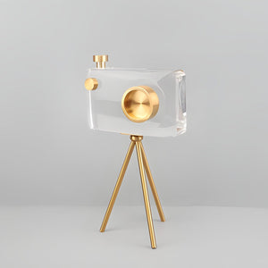Camera Ornament - Crystal Clear, 30 cm