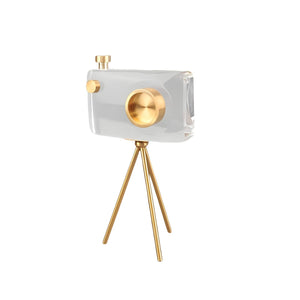 Camera Ornament - Crystal Clear, 30 cm