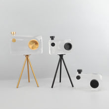 Load image into Gallery viewer, Camera Ornament - Crystal Clear, 30 cm
