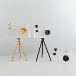 Camera Ornament - Crystal Clear, 30 cm